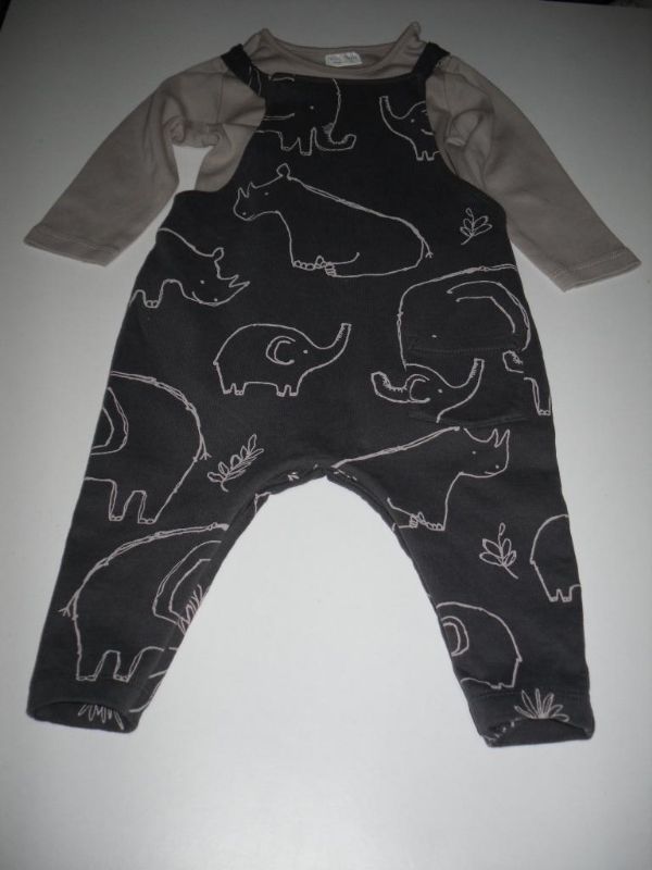 Charcoal Dinosaur Jersey Dungarees